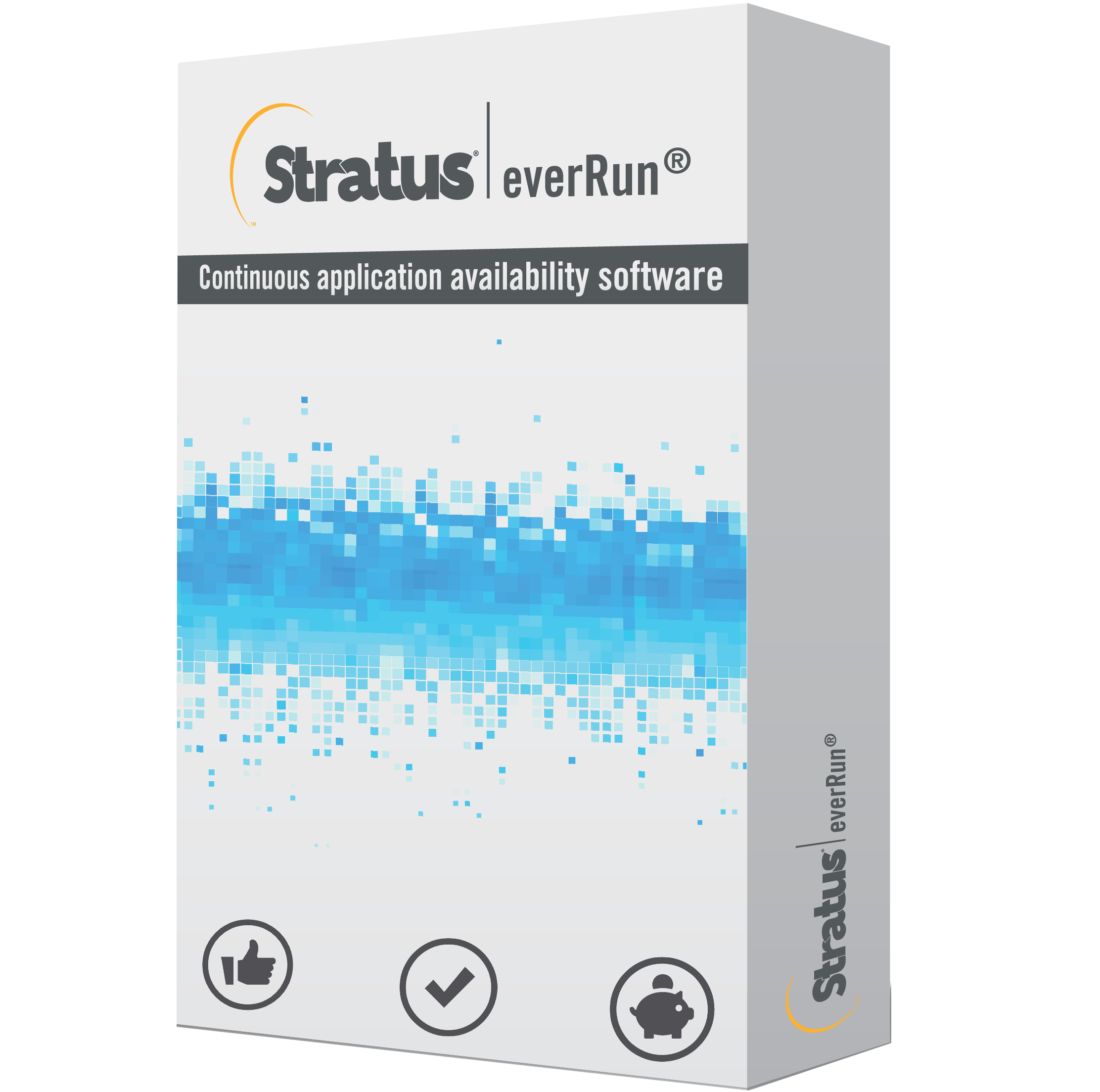 everRun Software